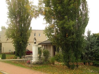 Drevo za vypílenie - 2