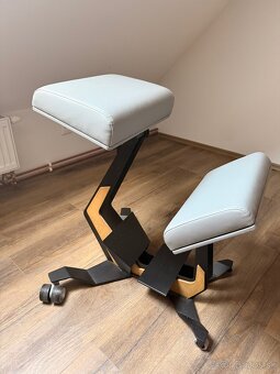 ERGONOMICKA STOLICKA NESEDA - 2