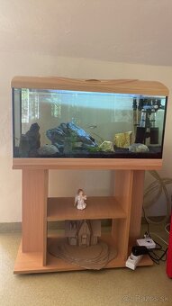 Predám akvárium s rybičkami a kompletným príslušenstvom - 2