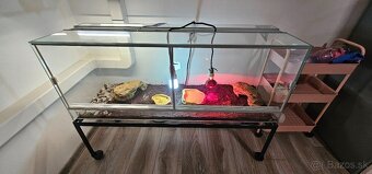 Korytnačky a komplet vybavením - 2