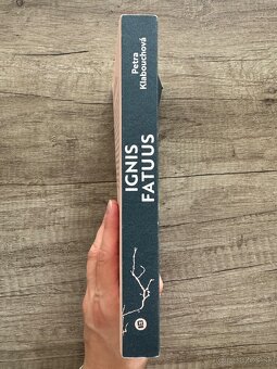 Ignis Fatuus (Petra Klabouchová) - 2