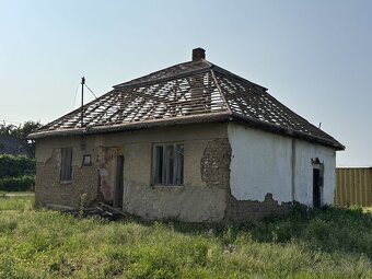Darujem drevo za odvoz - 2