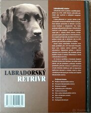 Labradorský retríver, Letničky a detektívka - 2