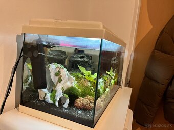 Založené akvárium - 2