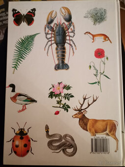 Faune et flore d´europe - 2