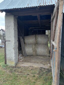 Seno veľké balíky - Ďatelinová zmes - 2