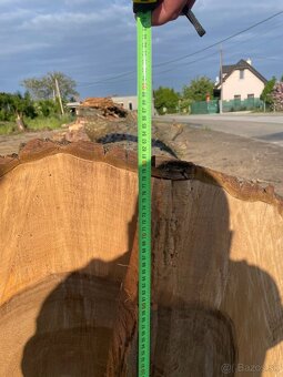 Na predaj – kvalitný kmeň orecha, priemer 90 cm, dĺžka 3,5m - 2