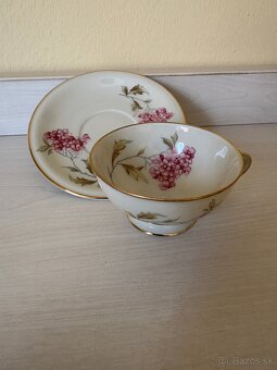 Stará porcelánová šálka s podšalkou Hutschenreuther  Selb - 2