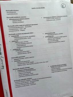 MATURITNÉ TÉMY - SLOVENSKÝ JAZYK A LIT - 2