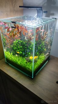 Predám akvárium - 2