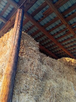 Pšeničná slama - 2