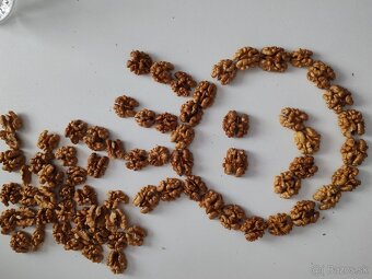 Predám vlašské orechy lúpané - 2