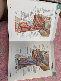 Netterov anatomický atlas - 2
