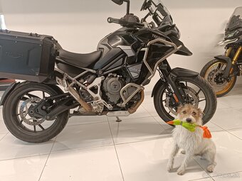 Triumph Tiger 1200 GT Explorer Sapphire Black- - 2