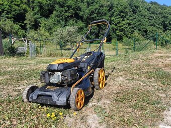 Riwall Pro - 2