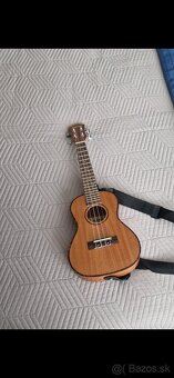 Predam ukulele - 2