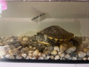 Predám akvárium. - 2