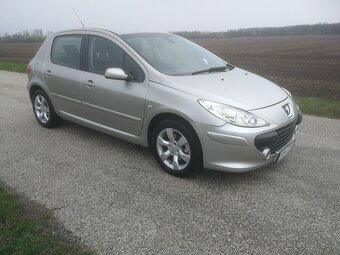 Peugeot 307 1,6 hdi - 2