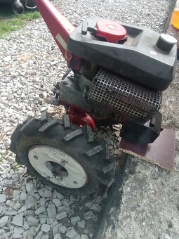 Agzat Profi - R151 - 2