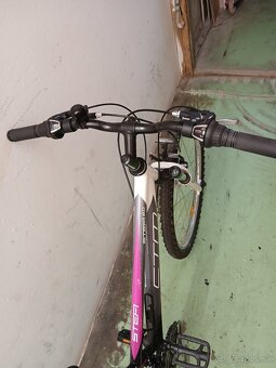 CTM bicykel stefi 2 - 2