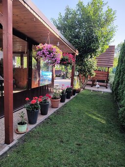 Ponúkam na predaj Záhradu s chatkou - 2