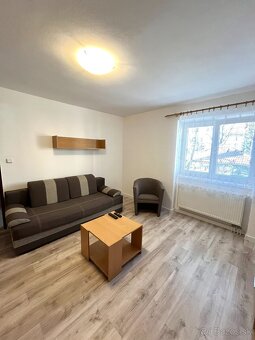 1 izbový byt na prenájom - 2