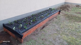 Vyvýšený záhon - 2