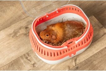 Prepravka Trixie Pico 30 × 21 × 23 cm - nová - 2