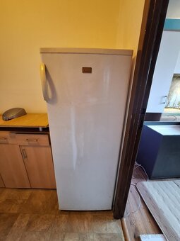 Mraznička - vysoká 144 cm, značka ZANUSSI - 2