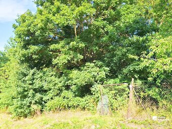 Stavebný pozemok na víkendový relax - 2