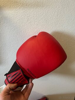 Boxovacie vreco a rukavice - 2