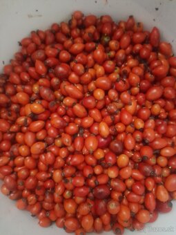 Predam domaci sirup , cerstve sipky,lekvar - 2