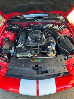 Ford Mustang Gt 500 shelby SVT - 2