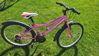Detský bicykel Harry 24 - 2
