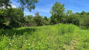 Prenajmem pozemok v Slovenskom krase -v Jabloňove nad Turňou - 2