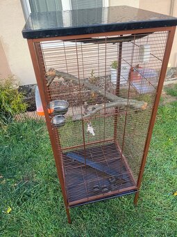 Klietka pre papagáje , vtáky - 2