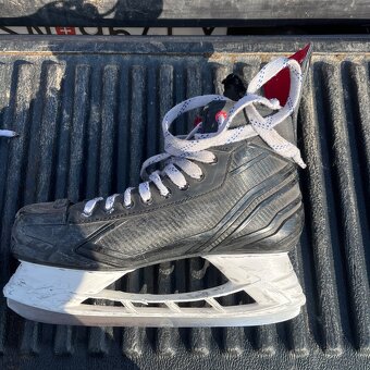 Predám Korcule Bauer - 2