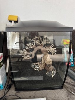 Invital akváriou 40 l - 2