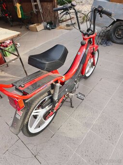 Manet Korado - 2