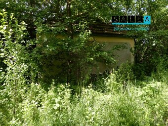 Vinica na predaj, 2500 m2, Farná, okr. Levice - 2