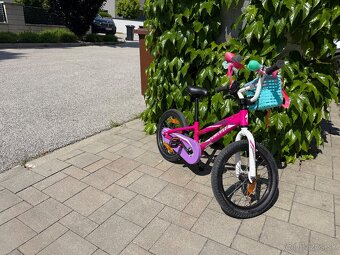 SPECIALIZED - 2