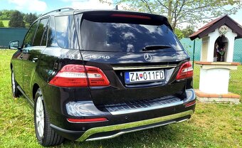 Mercedes-Benz ML 250 Bluetec 4MATIC - 2