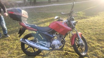 YAMAHA YBR 125 - 2