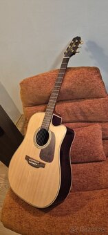 Takamine P5DC - 2
