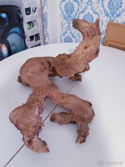 Velkorozmerny samorast - 2