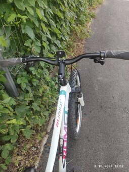 Bicykel 26 damsky - 2