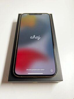 Predam IPhone 12 Pro Max - 2
