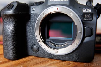 Canon R6 mark II - 2