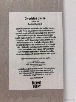 Divadelné dielne - Daniela Olejníková - 2