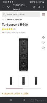 TURBOSOUND IP300 - 2